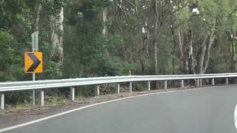 Driving again