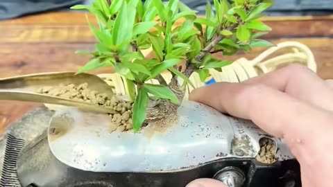 💡👍 The Easiest Way To Solve Your Daily Problems! | LifeHacksDaily