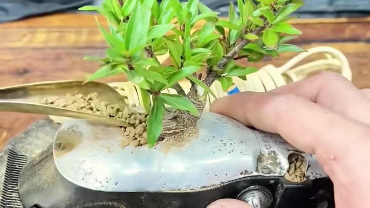 💡👍 The Easiest Way To Solve Your Daily Problems! | LifeHacksDaily