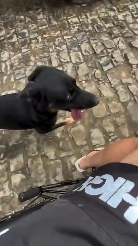 🤯🦷 The Most UNEXPECTED Bite! | FunFM