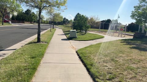 Going for a walk at the park