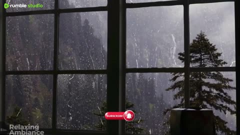 Relaxing raining video