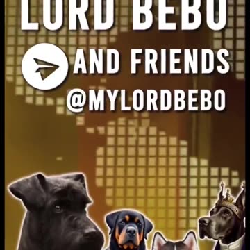 Ukraine war combat footage july 11 2025