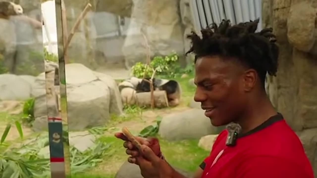 IShowSpeed couldn't believe he found panda in real life ❤️🩹 #IShowSpeedRumble
