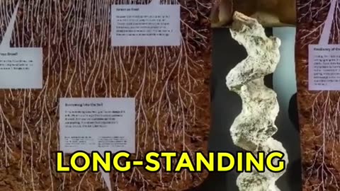 The Devil’s Corkscrew Mystery