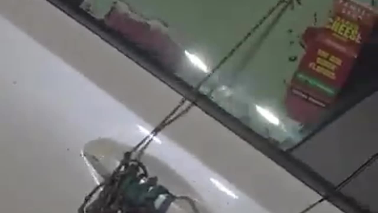 negro's car infested with roaches