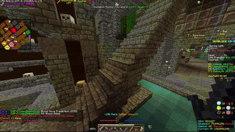 Skyblock FLOOR 7 [#2225]