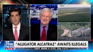 Gingrich Says Dems Exposed Their Elitism On Deportations