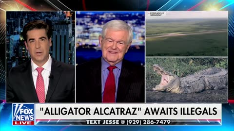 Gingrich Says Dems Exposed Their Elitism On Deportations