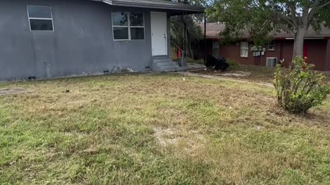 Calm Restored After Police Intervene with Angry Neighbor P7
