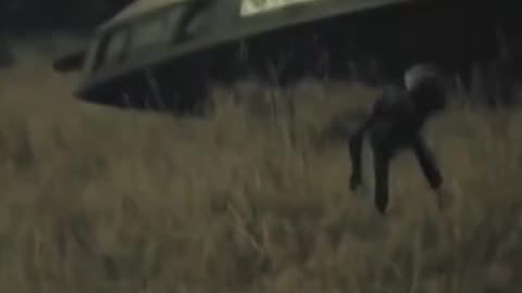 1987 alien crash footage a rare glimpse of an alien caught on tape