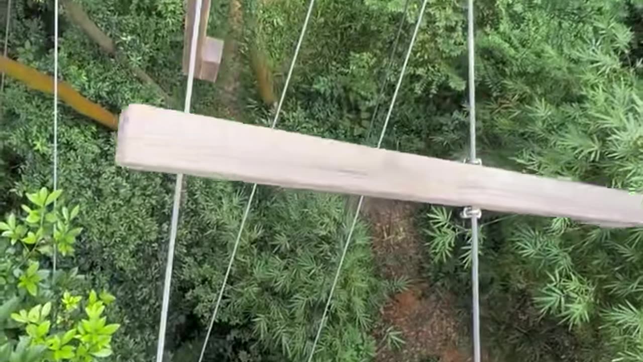 🤯🔧 Watch This Machine In Action! | FeedMyCuriosity