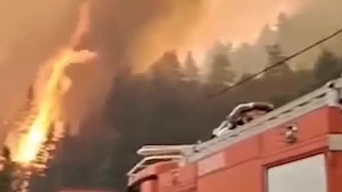 NA KYPRU ZUŘÍ MOHUTNÉ LESNÍ POŽÁRY - 23.7.2025