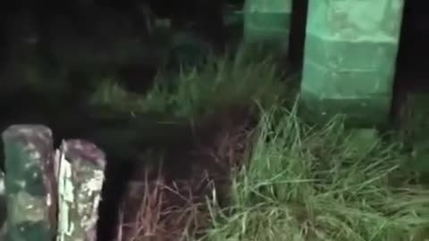 😱👊 You Won't Believe What Juanita Did! Chilling Encounter | TheHauntingHour