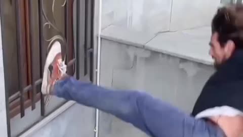funniest clips