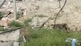 🛡️🇲🇲 Myanmar War | Myanmar Junta's WZ-551 Variant in Bhamo, Kachin State | RCF