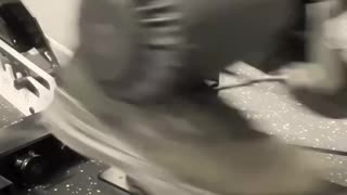 Tib Bar Guy Apex Leg Trainer Attachment Preview (Leg Developer)