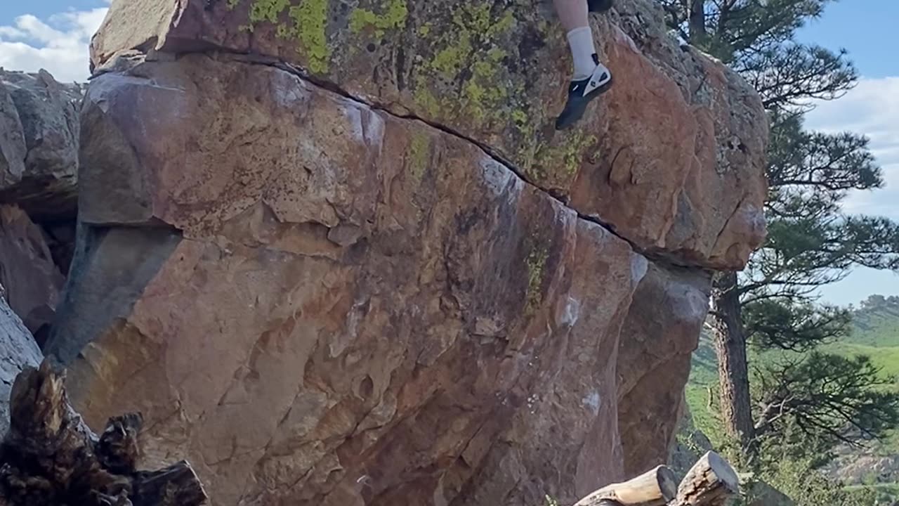Laps in the sun