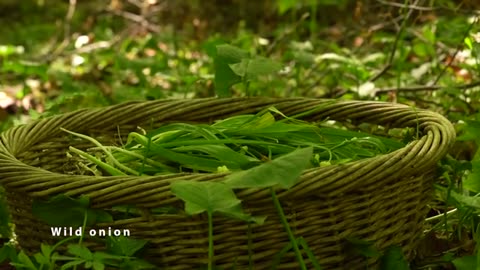 Wild Onion Bread Wild Onion Preservation_part1