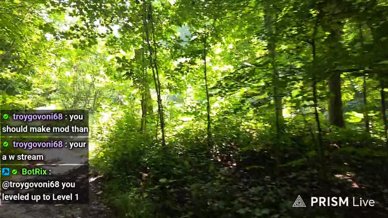 Nature/City walk IRL content