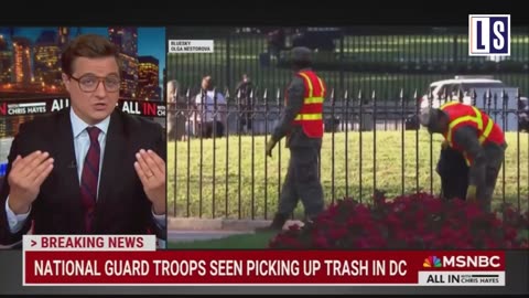 Military personnel left their families, jobs, jobs, their mission in Washington, to collect garbage