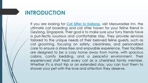 If you are looking for a Cat Sitter in Kallang