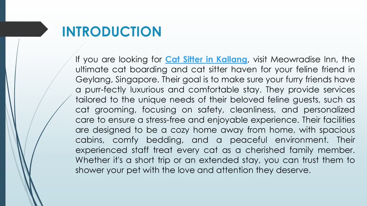 If you are looking for a Cat Sitter in Kallang