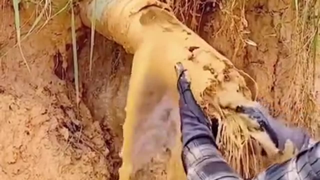 Unclogging pipes