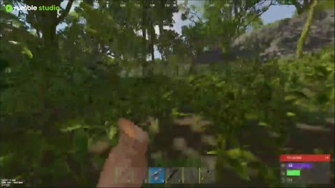 rust gaming and chillin