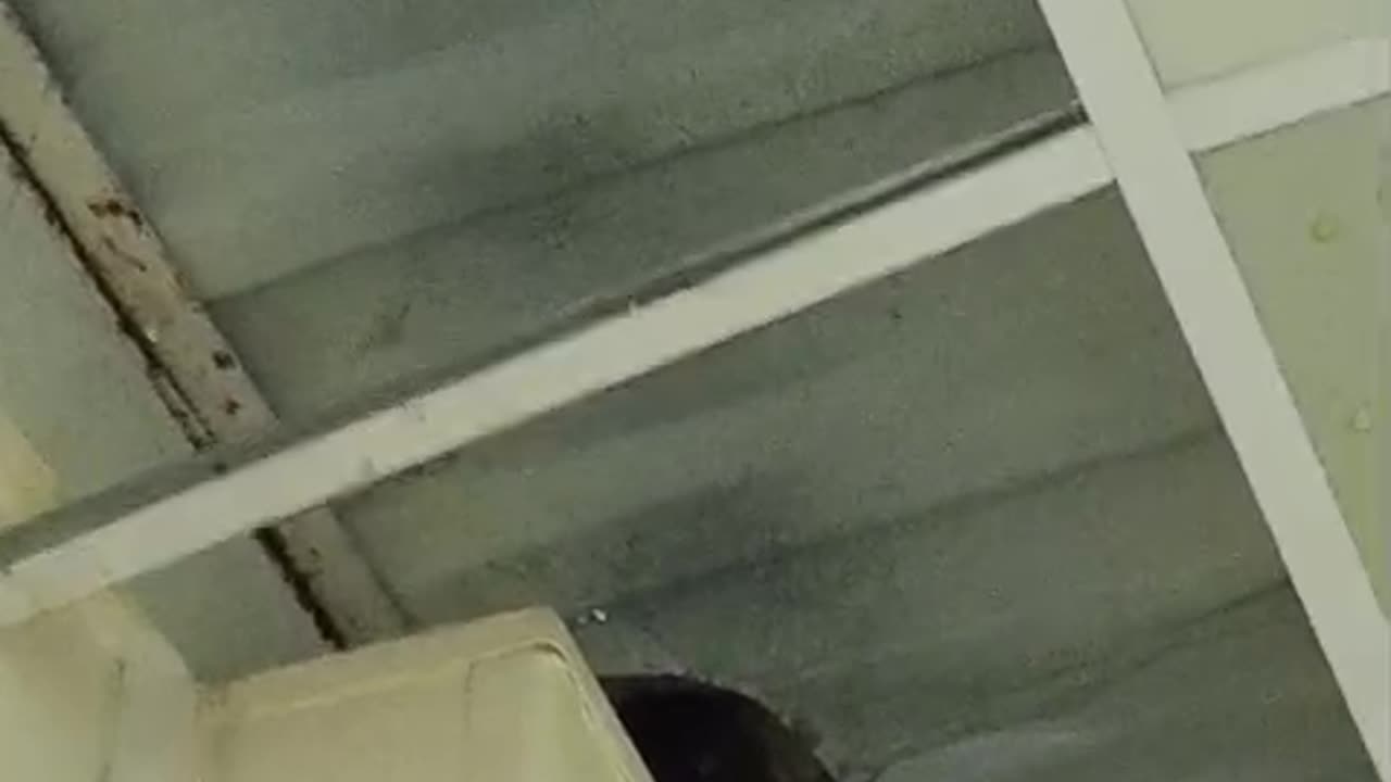 Pure & Loft & Air - I'm caught in between goodbye and hello - Roller Coaster -