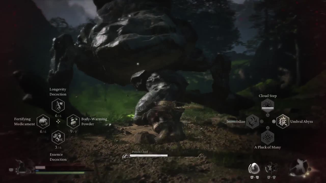 Wukong Beat Poison Chief