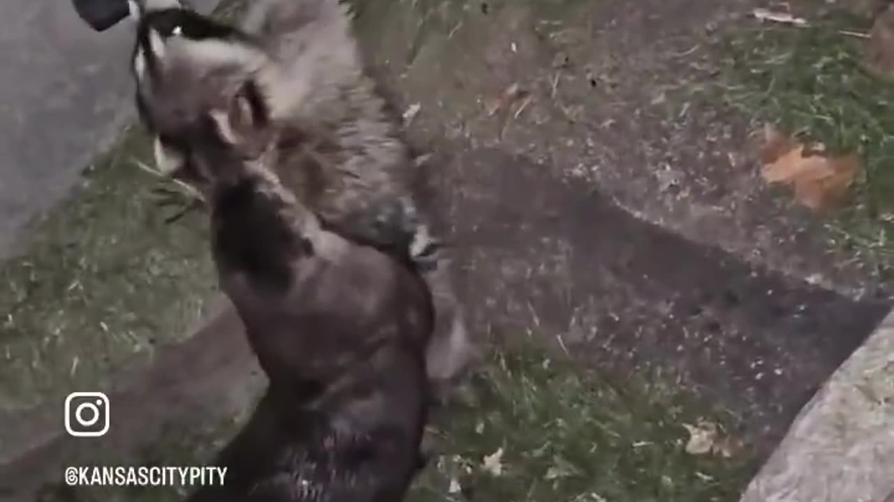 What’s going on 😭