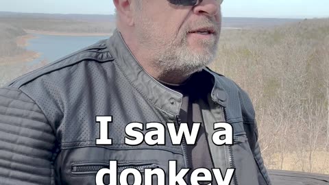 Look Both Ways
