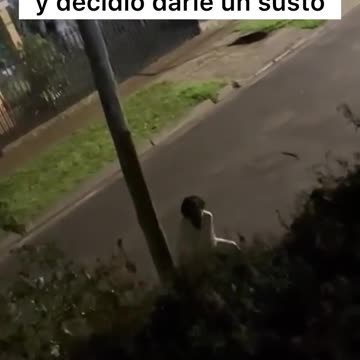 os vecinos: "otra vez Vicky se porto mal"