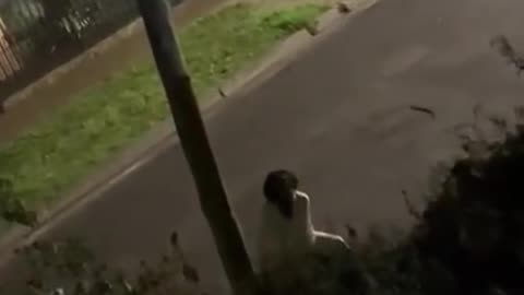 os vecinos: "otra vez Vicky se porto mal"