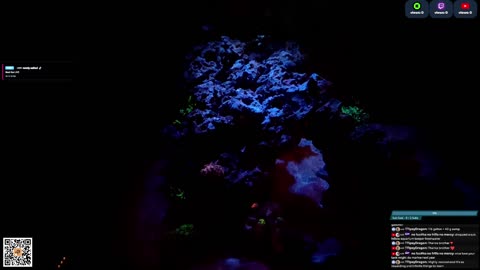 24/7 Real Live Reef Stream