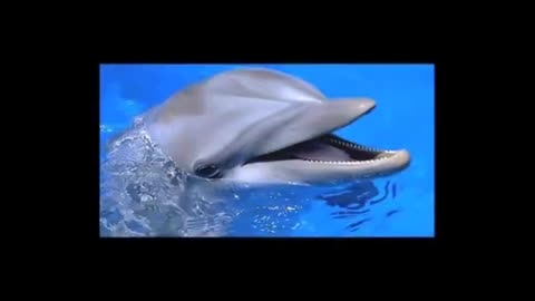 hybrid-world-the-plan-to-modify-and-control-the-human-race-transhumanism-documentary