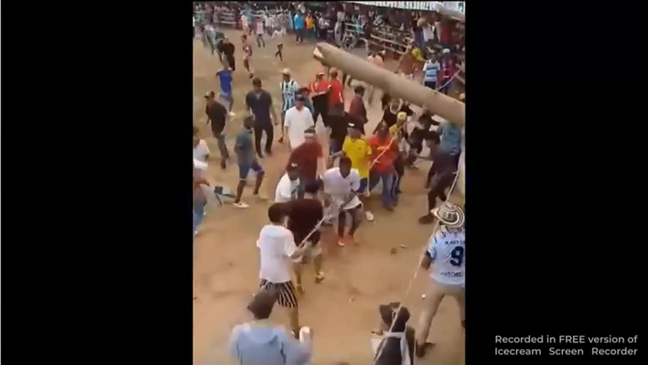 Bull Goes After the Elderly