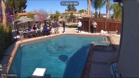 👀⚠️ Creepy Shadows Lurking in the Dark! | TheHauntingHour