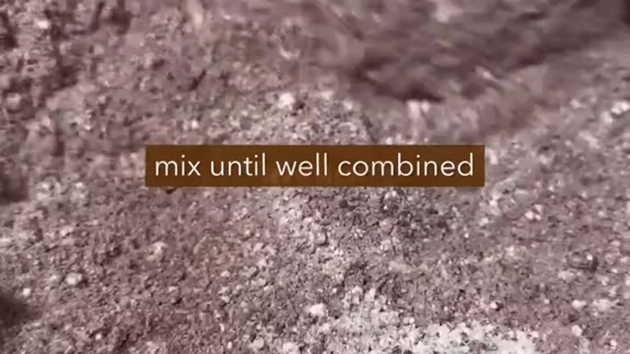 How to Make a Moist Chocolate Cake Step by Step