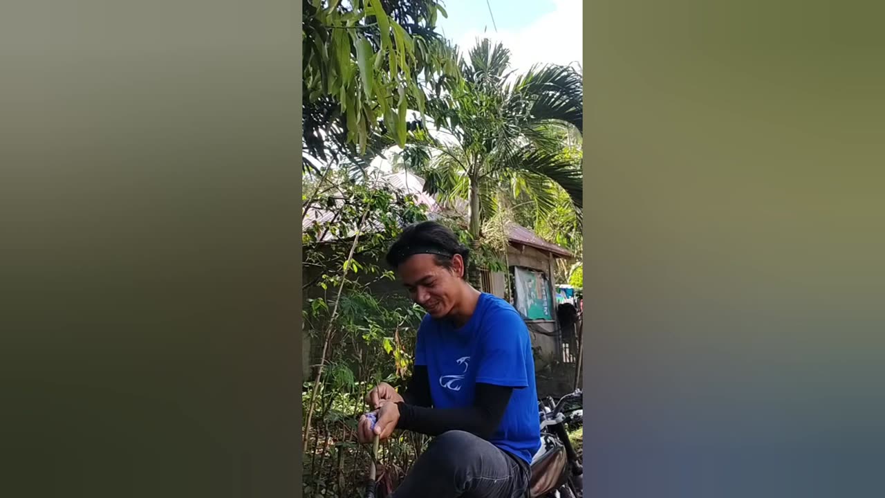 Tipak | Northpaul Episode 597