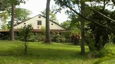 ARGENTYNA - NA BEZKRESNEJ PAMPIE dokument pl