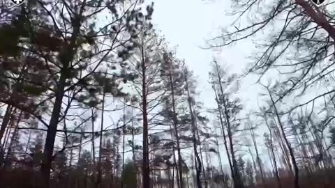 Incredible Combat Footage from Ukrainian Soldiers Moving Through Village Near Lyman