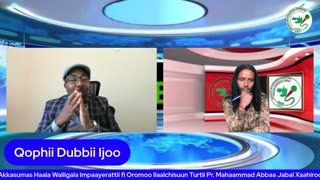 Qophii Dubbii Ijoo ONM-ABO Waxaabajjii 27-2025 itti dhiyaadhaa!