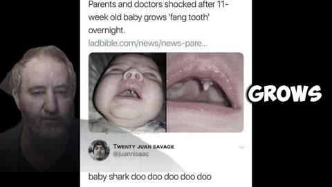 Baby Shark Tooth