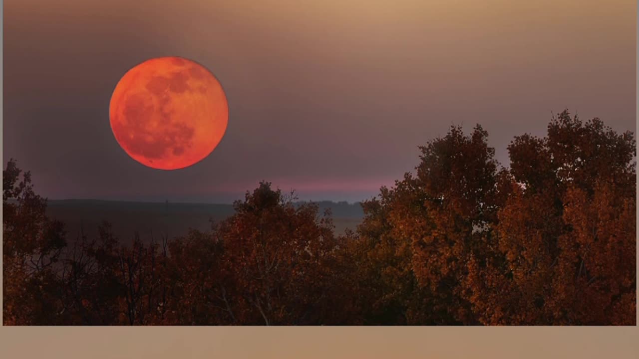 Sun and moon