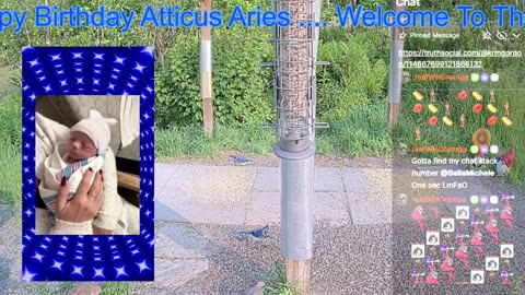 "WTTW" Welcome To The World Atticus Aries