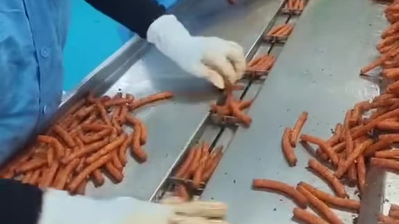 🤖 Satisfying Machine in Action! | FeedMyCuriosity