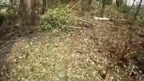 💥🎯 Ukraine Russia War | RU Artillery Scores Direct Hit on Ukrainian Forces | RCF