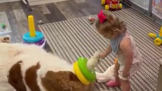 Little girl uses dog’s leg as a ring-stacking post